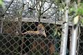 2009_0306sonyDierentuin0137
